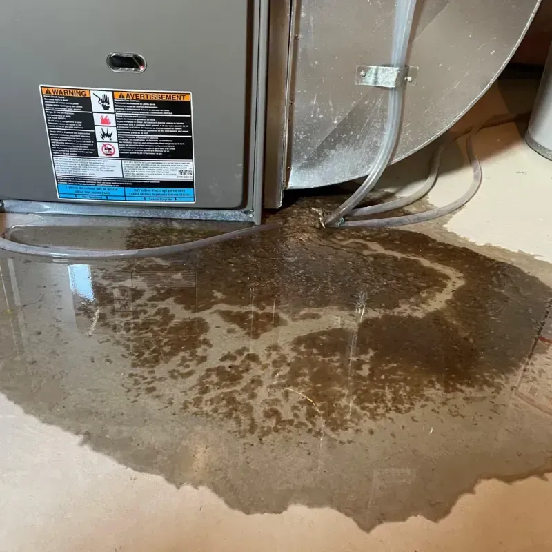 Appliance Leak Cleanup in Troy, AL